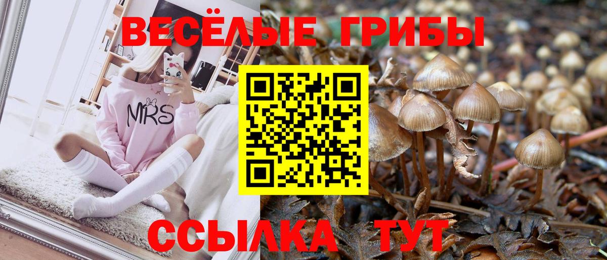 Галлюциногенные грибы мицелий Валуйки